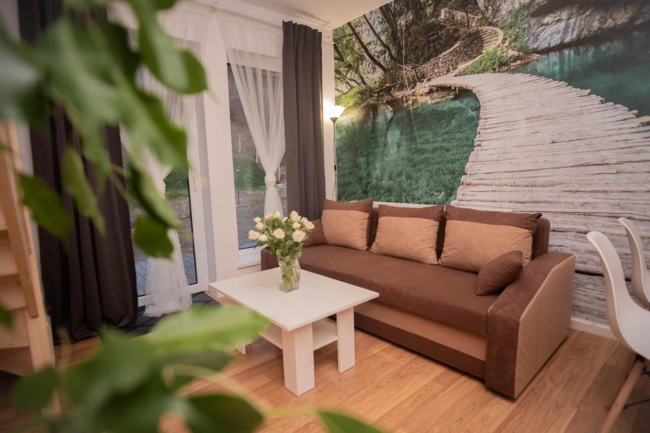 Apartamenty Goszowita Stronie Śląskie Екстериор снимка