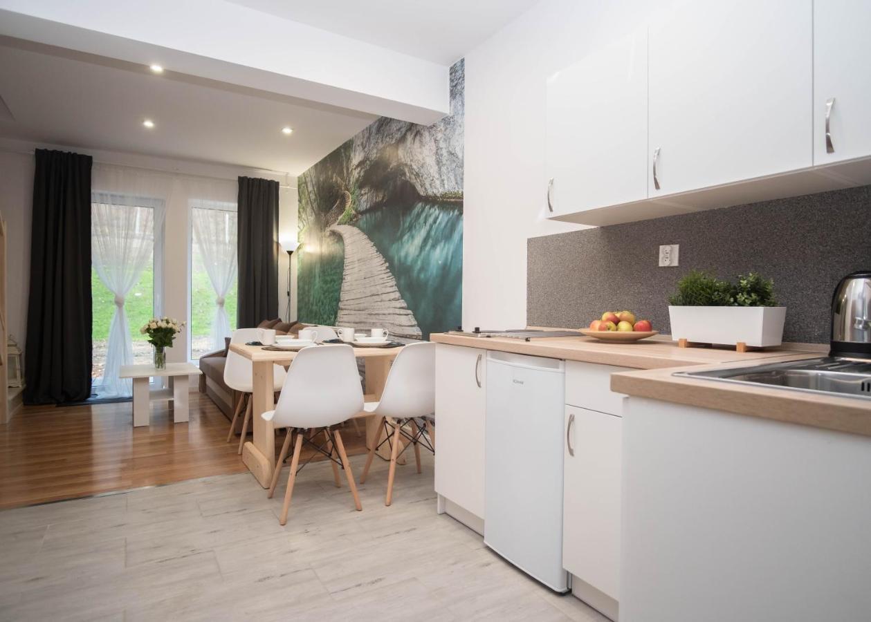 Apartamenty Goszowita Stronie Śląskie Екстериор снимка