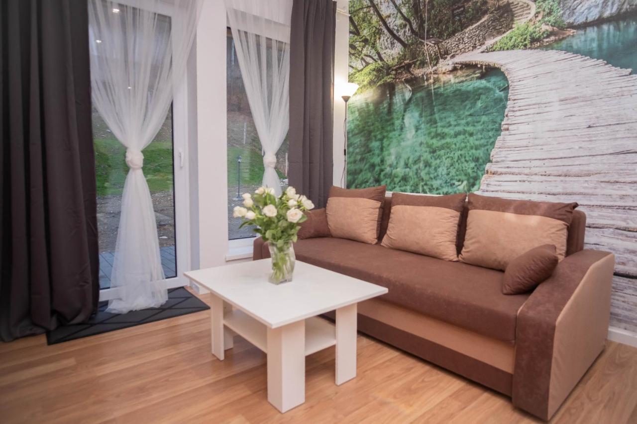 Apartamenty Goszowita Stronie Śląskie Екстериор снимка